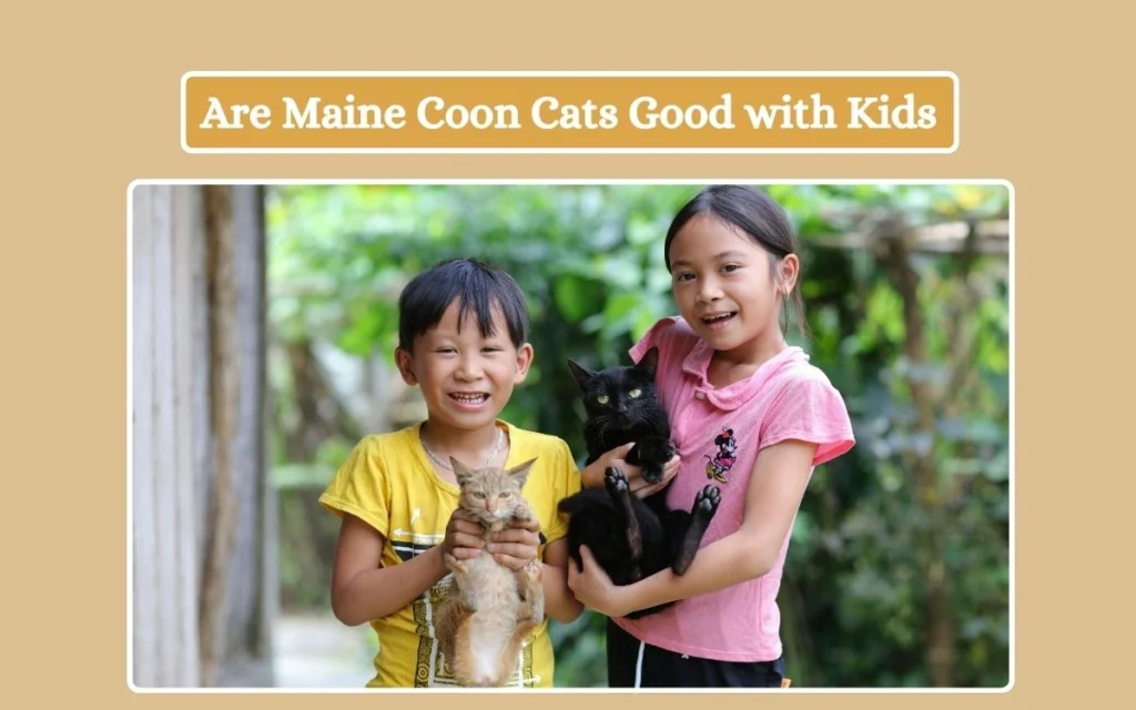 Are Maine Coon Cats Good with Kids